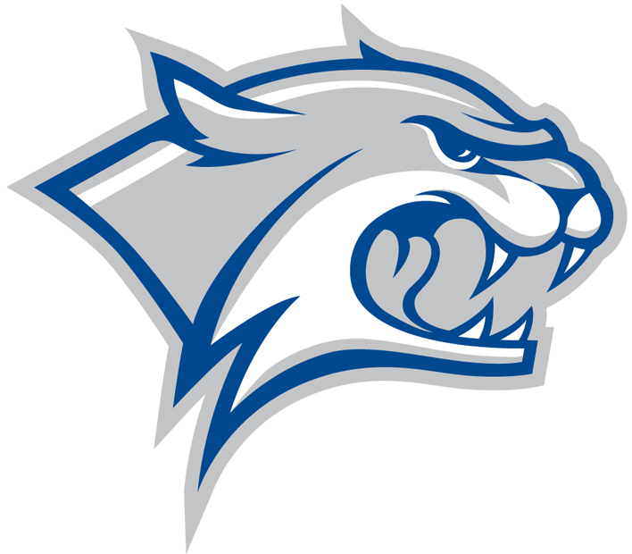 New Hampshire Wildcats 2000-Pres Partial Logo iron on transfers for T-shirts